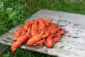 MMA Washington, DC Alumni Lobster Bake