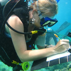 Research Diver taking underwater notes