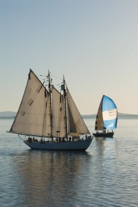 MMA-1