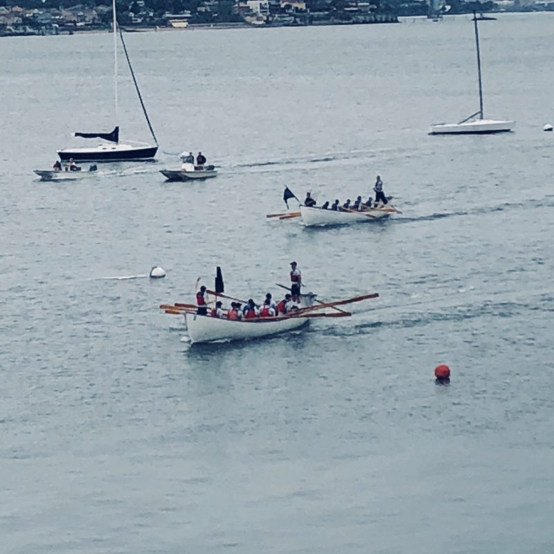 Inter-Academy Monomoy Challenge