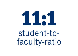 11 to 1 student to faculty ratio