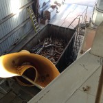 Deck Restoration Project