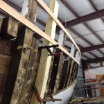 new top timbers