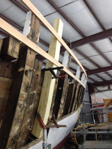 new top timbers