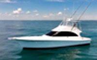 2001 Ocean 52’ Sport Fish picture