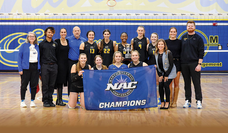 Volleyball champions