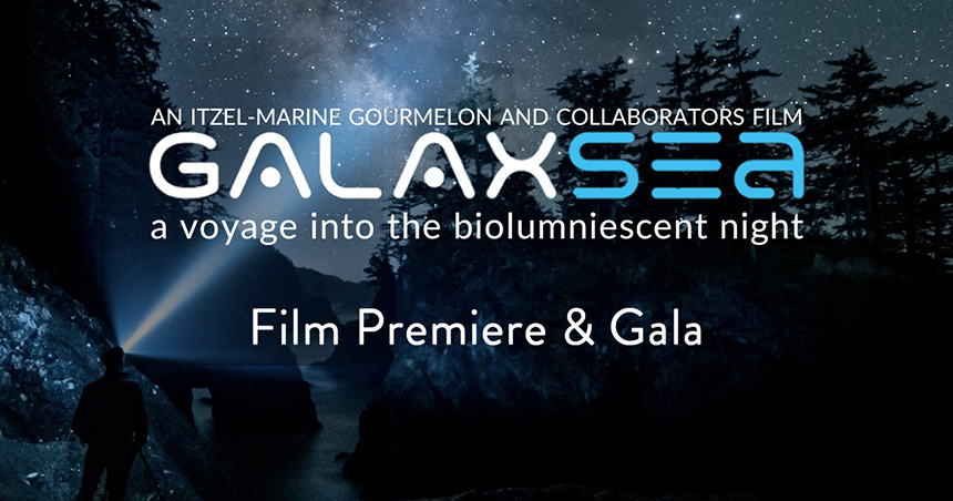 Galaxsea film premeire