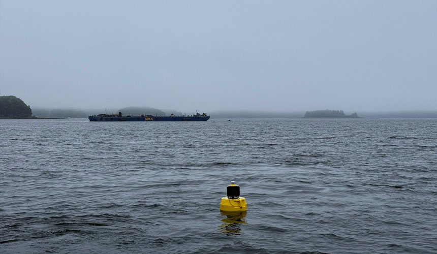 The Smith Cove buoy.