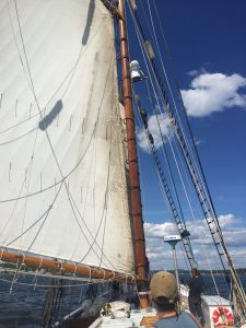 Bowdoin Sailing 2017