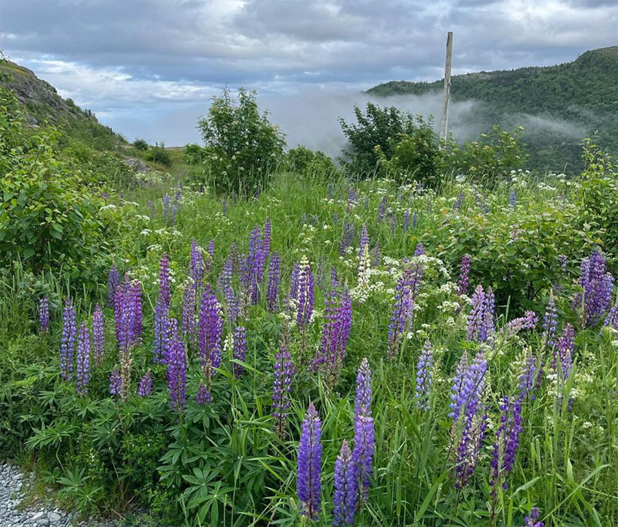 St. John, NB