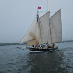 schooner sailing