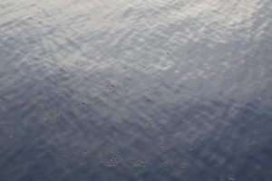 Flying fish jumping out of the water