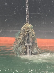 Old fishing gear tangled on anchor