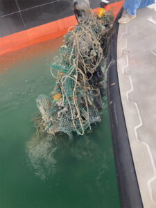 Old fishing gear tangled on anchor