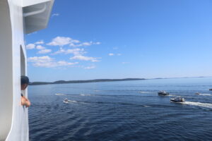Flotilla alongside