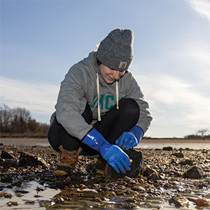 Ocean studies - Working at the shore